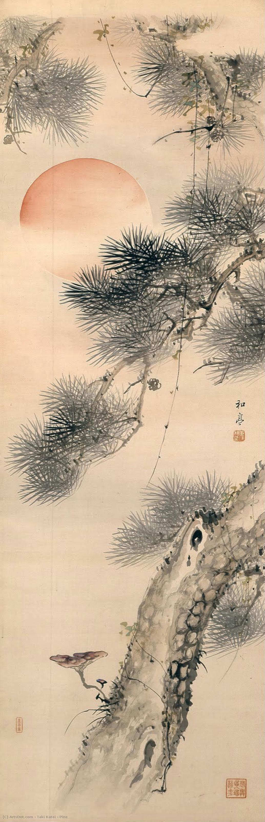 Pine — Taki Katei