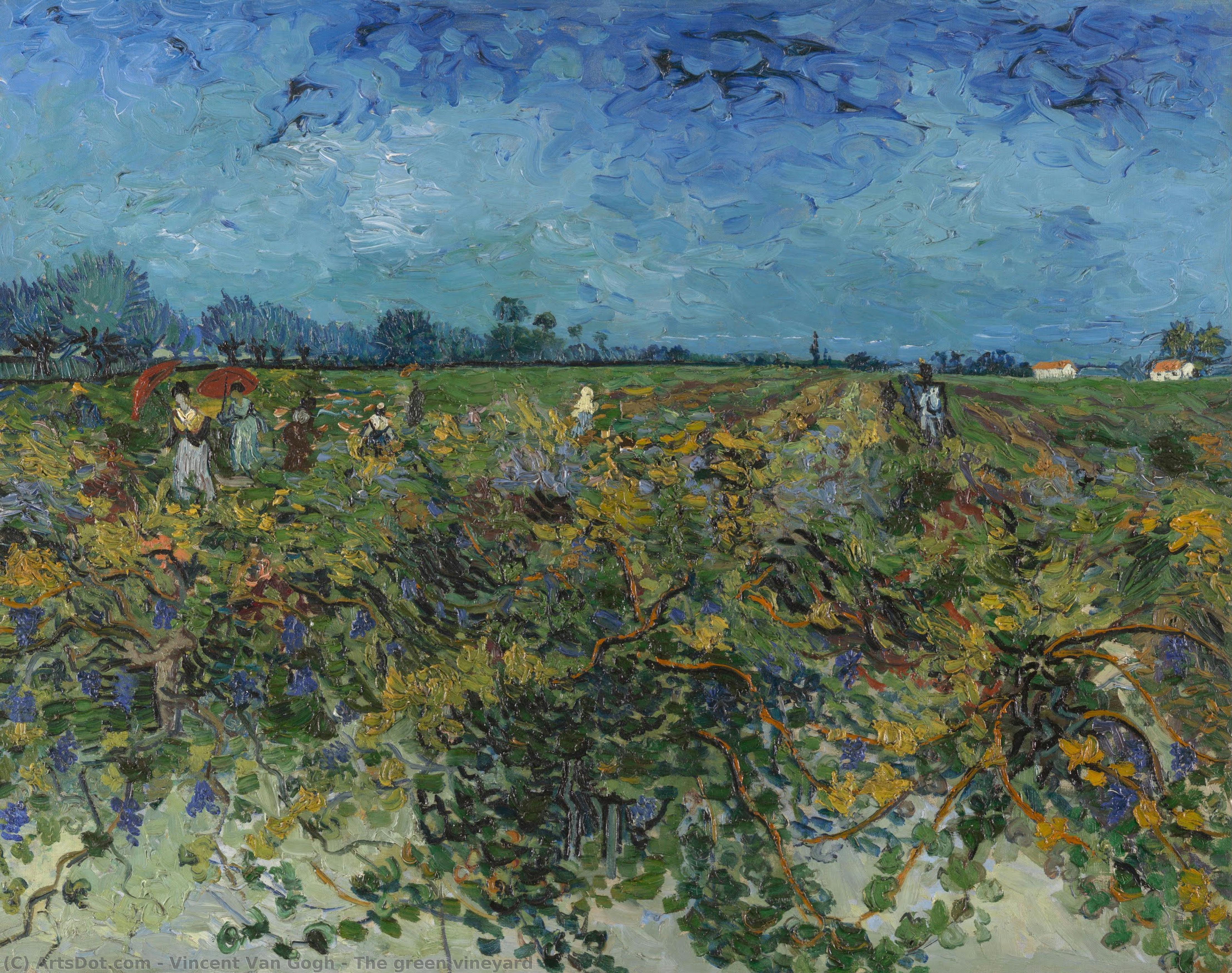 The Green Vineyard — Vincent Van Gogh