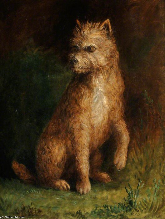 Dash — Albrecht Dürer
