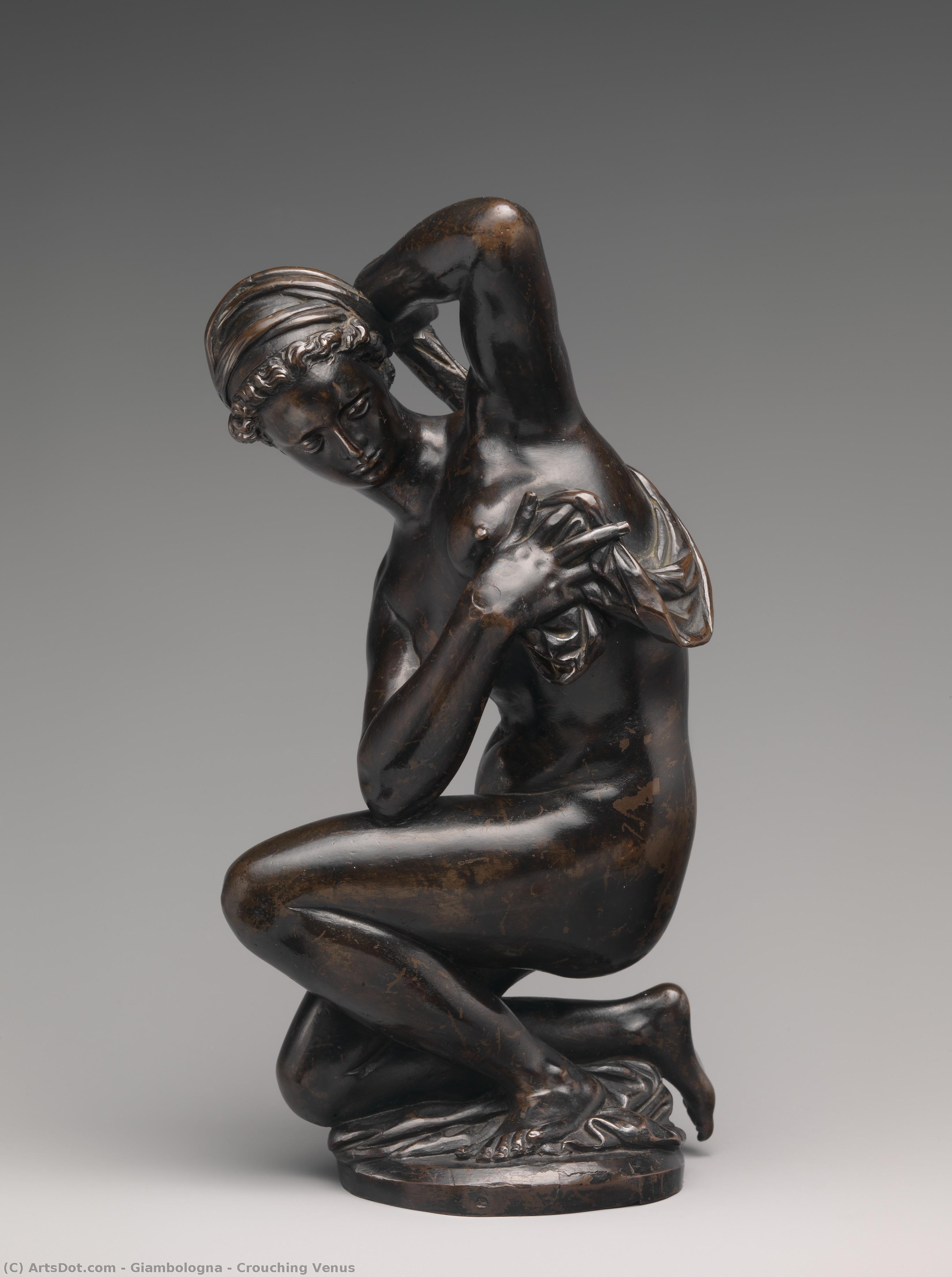 Crouching Venus — Giambologna