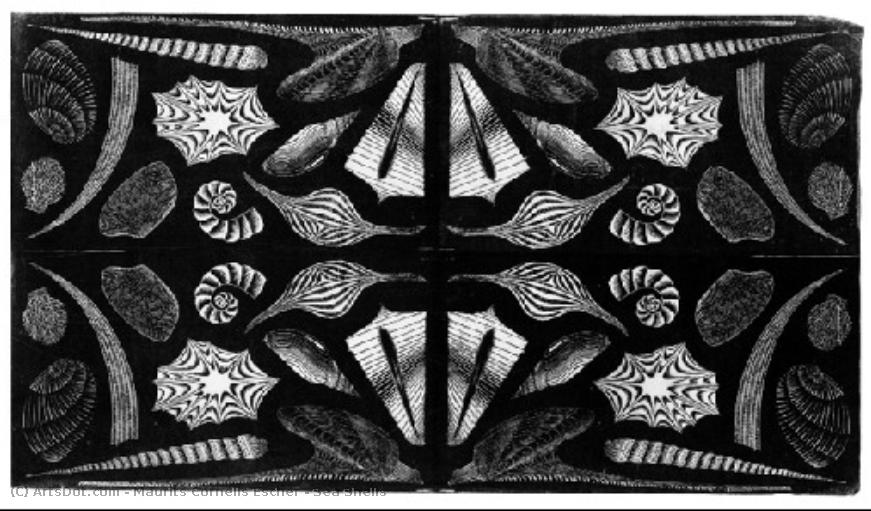 Sea Shells — Maurits Cornelis Escher