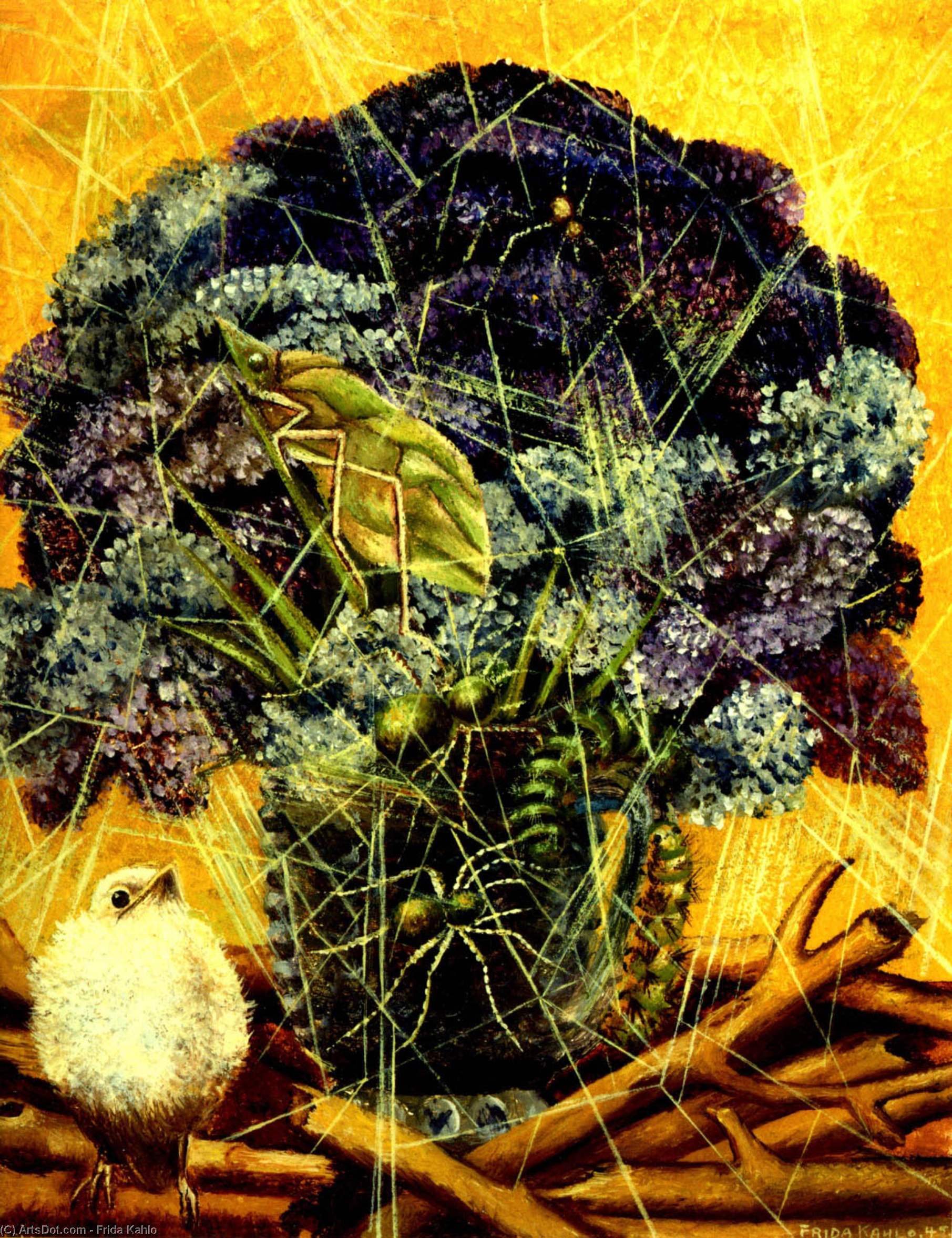 Šunikė — Frida Kalo