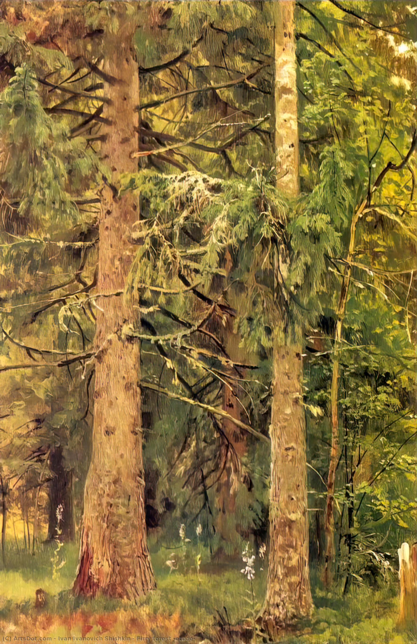 Firry Forest (etude) - Ivan Shishkin — Ivan Ivanovich Shishkin
