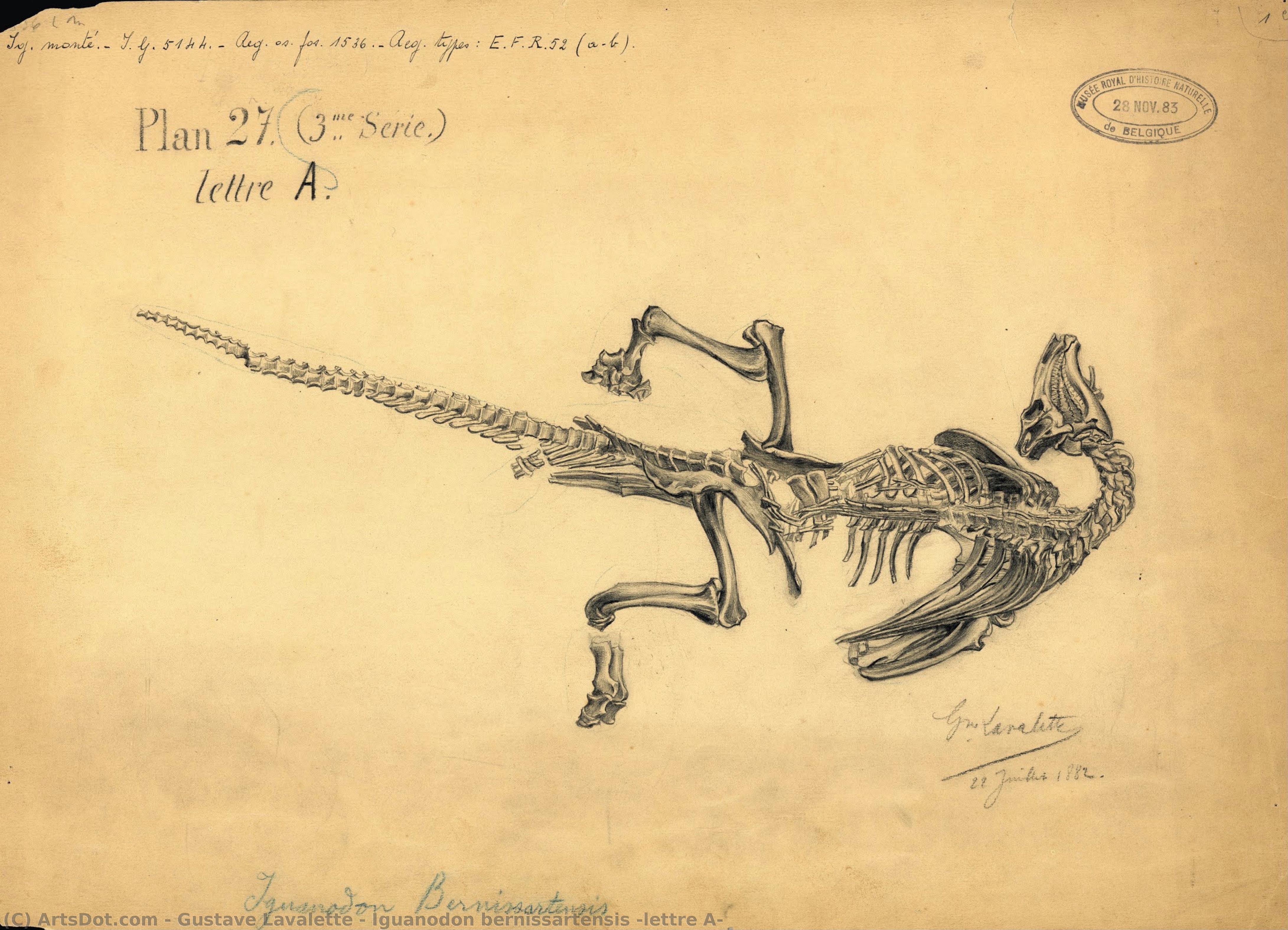 Iguanodon Bernissartensis „letras“ — Gustave Lavalette