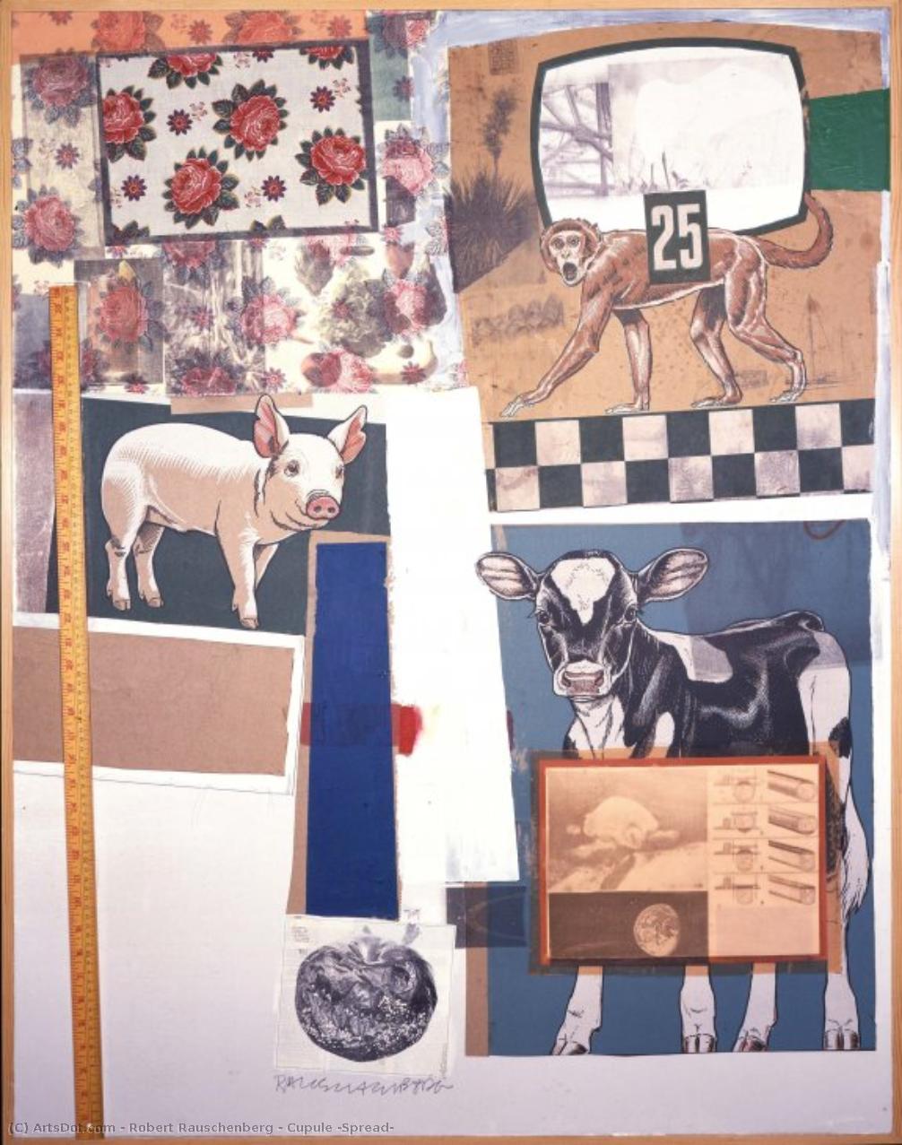Cupule (spread) — Robert Rauschenberg