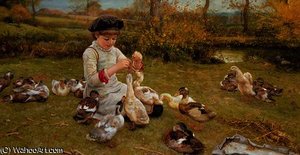 Feeding the ducks