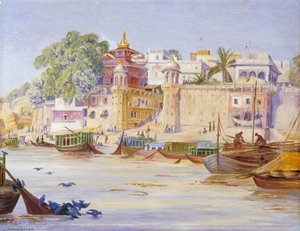 Tempio Nepalese E Albero Di Peepul Con Piccioni Blu Che Si Abbeverano, Benares, India — Marianne North