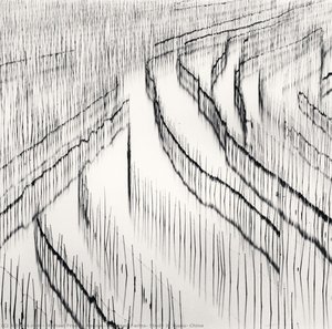 Seaweed Farms, Study 3, Xiapu, China — Michael Kenna