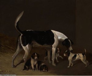 A foxhound and her litter