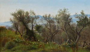 Olive Trees At Olevano With Mountains In The Background — Peter Christian Skovgaard