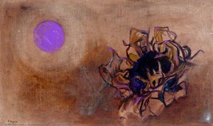 Dying Sunflower