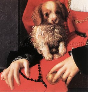 Portrait Of A Lady In Red (detail) — Agnolas Bronzinas